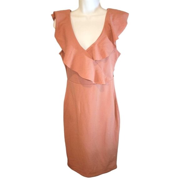 Jolie & Joy Dusty Pink Dress Size Large L Stretch New NWT - Picture 1 of 3